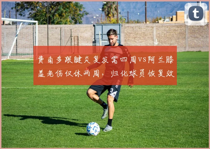 费南多跟腱炎复发需四周vs阿兰膝盖老伤仅休两周,归化球员恢复效率反差明显